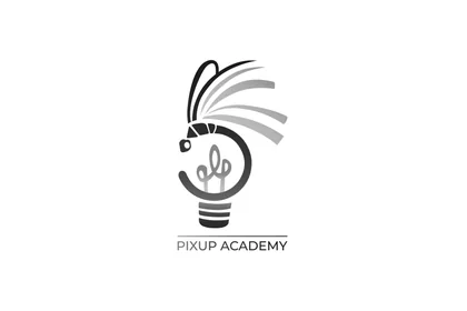 Pixup Academy